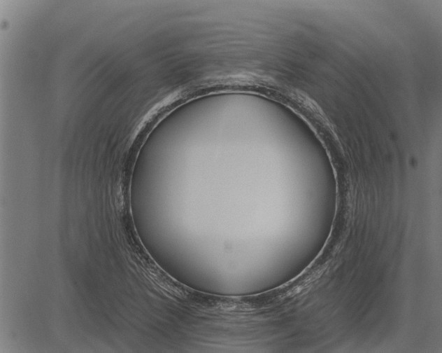 X0000083621218200703121620