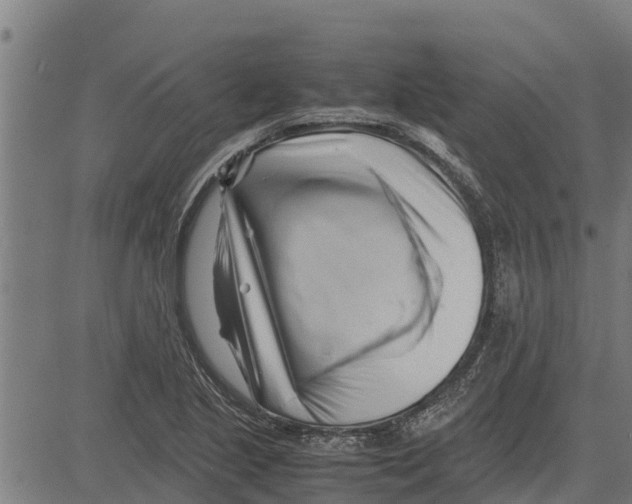 X0000083621221200703121620