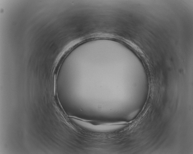 X0000083621223200703121620