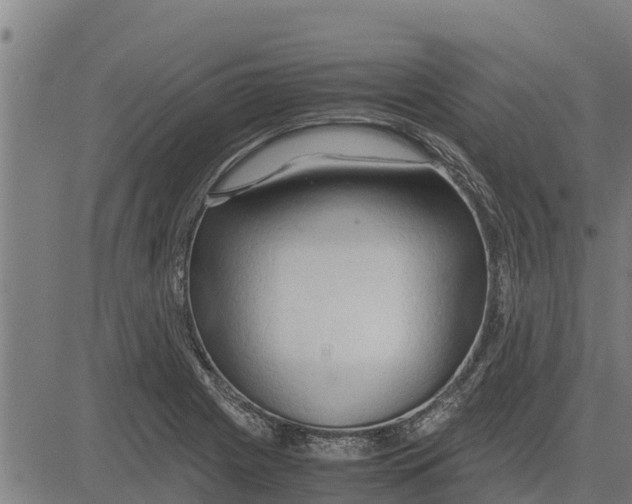 X0000083621225200703121620