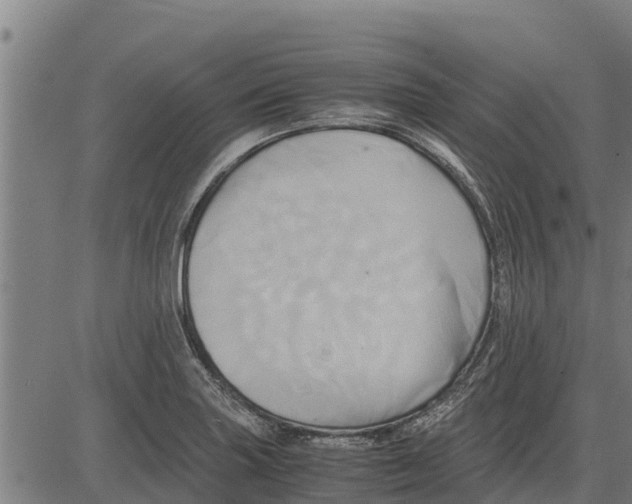 X0000083621227200703121620