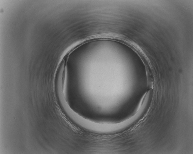 X0000083621230200703121620