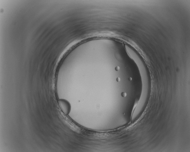 X0000083621232200703121620