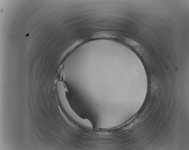 X0000083621233200703121620