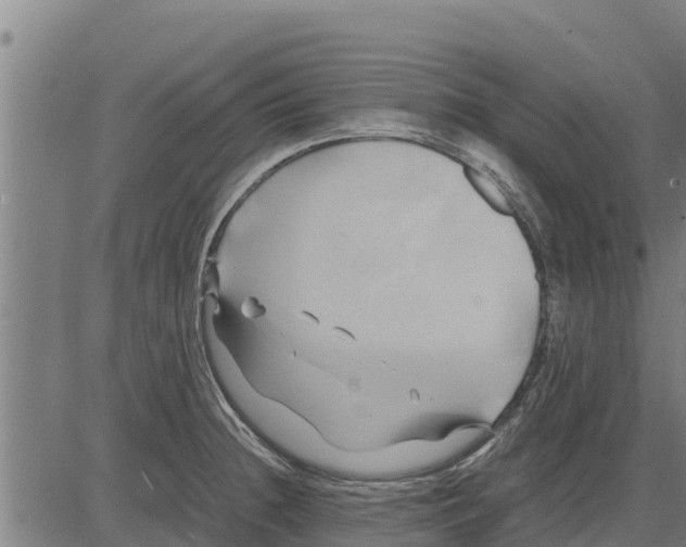 X0000083621236200703121620