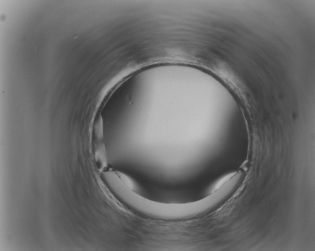 X0000083621238200703121620