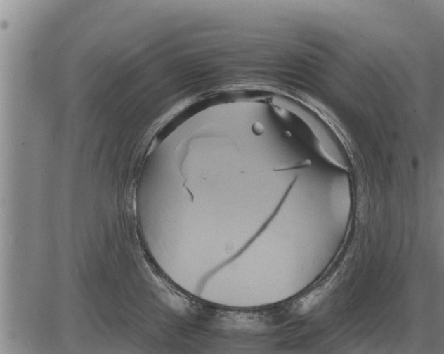 X0000083621241200703121620