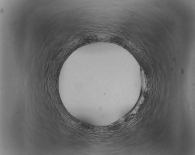 X0000083621249200703121619