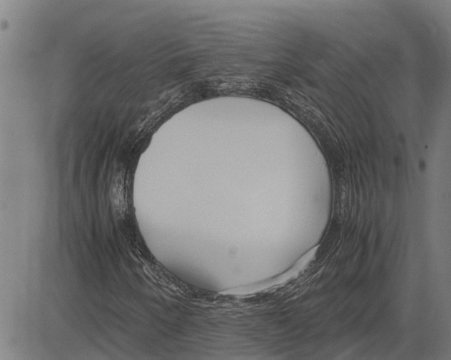 X0000083621250200703121619