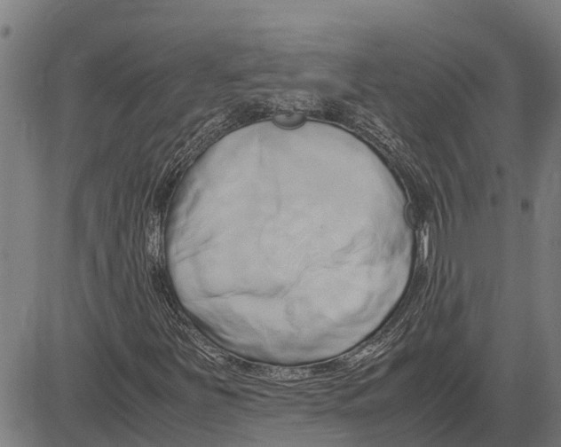 X0000083621251200703121619