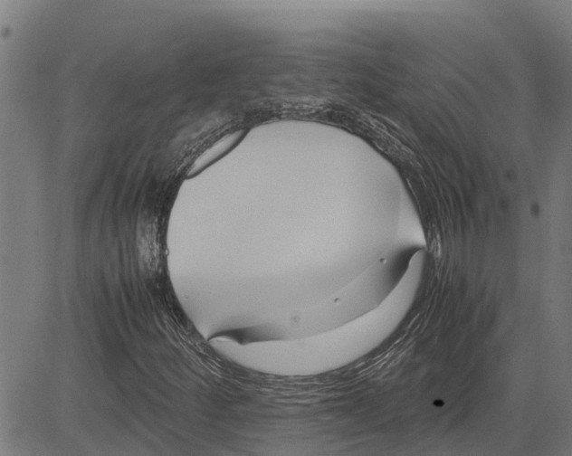 X0000083621252200703121619