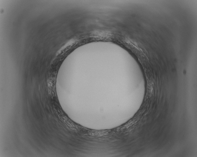 X0000083621254200703121619