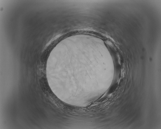 X0000083621255200703121619