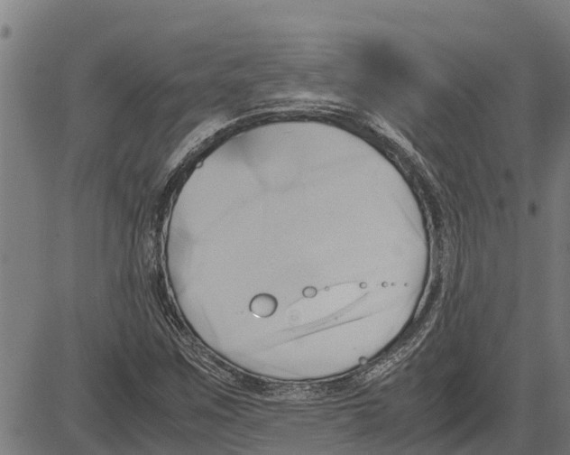 X0000083621259200703121619