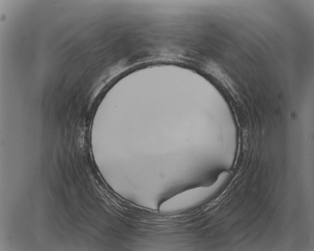 X0000083621260200703121619