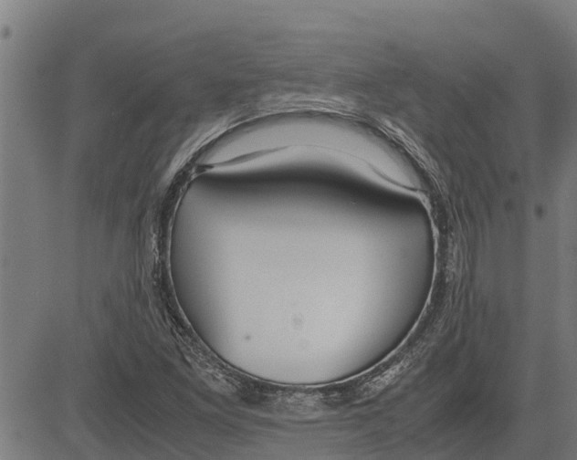 X0000083621261200703121619