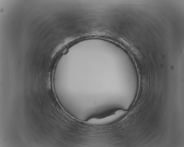 X0000083621262200703121619