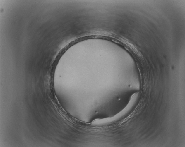 X0000083621264200703121619