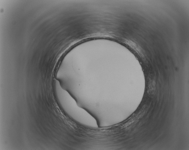 X0000083621268200703121619