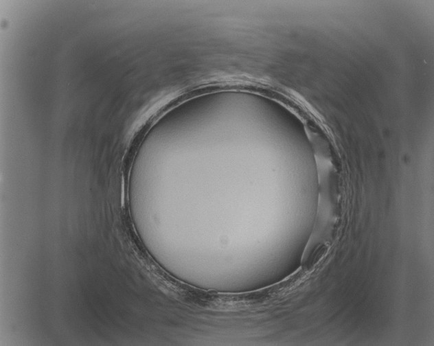 X0000083621269200703121619