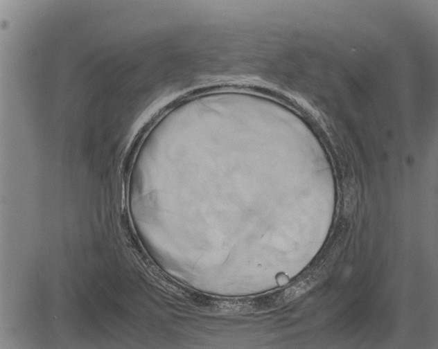 X0000083621271200703121619