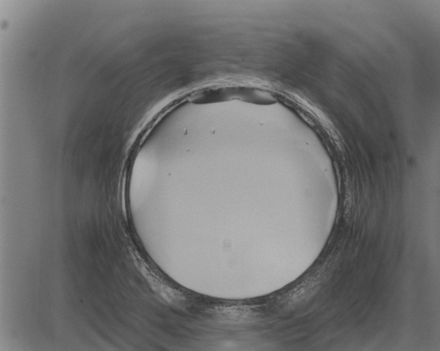 X0000083621272200703121619