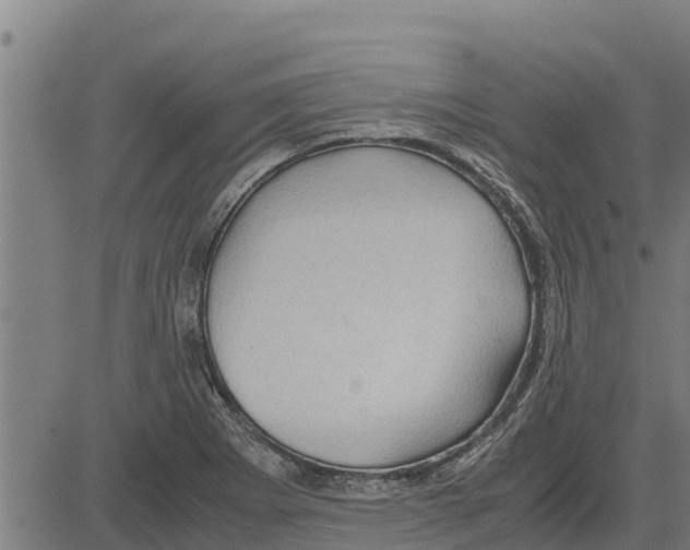 X0000083621273200703121619