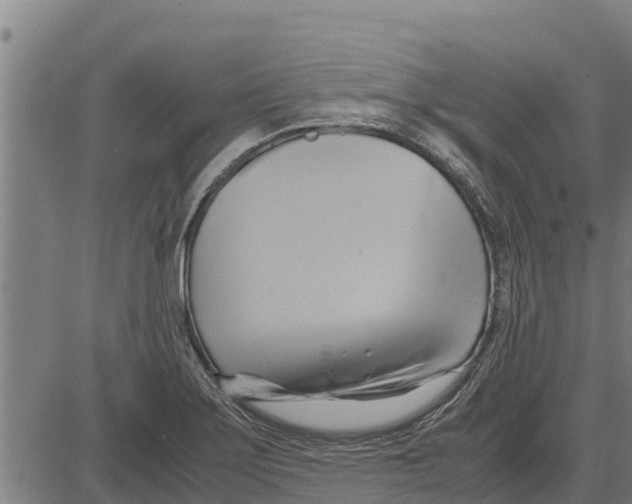 X0000083621275200703121619