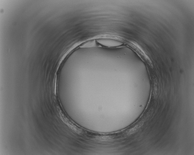 X0000083621276200703121619