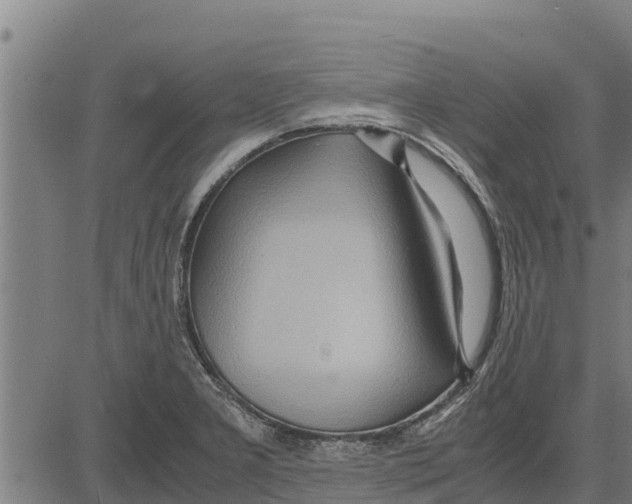 X0000083621277200703121619