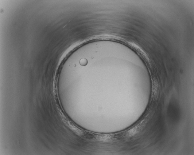 X0000083621278200703121619