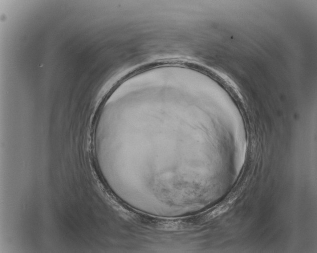 X0000083621279200703121619