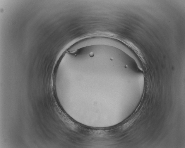 X0000083621280200703121619