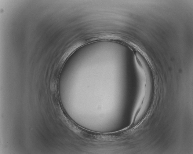 X0000083621281200703121619