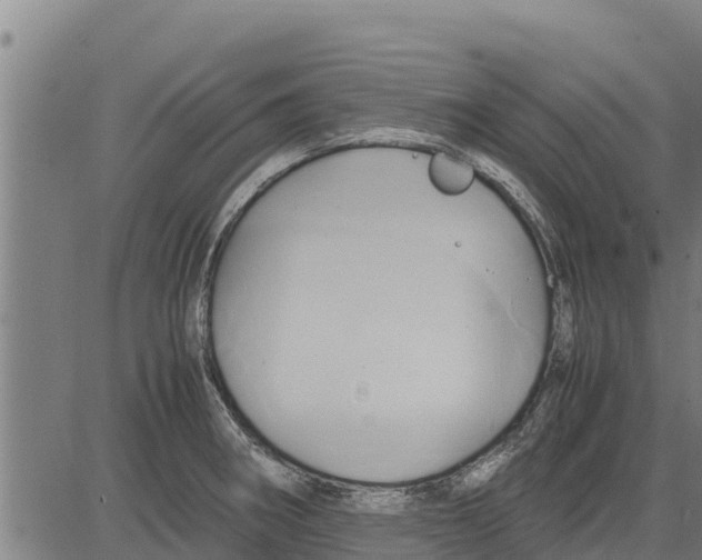 X0000083621282200703121619