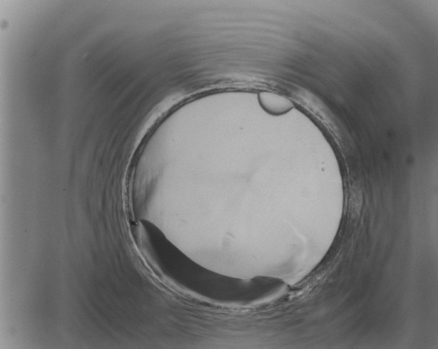 X0000083621283200703121619