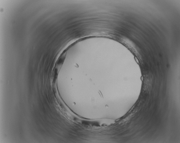 X0000083621284200703121619