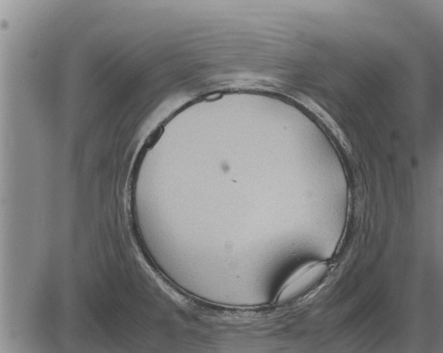 X0000083621285200703121619