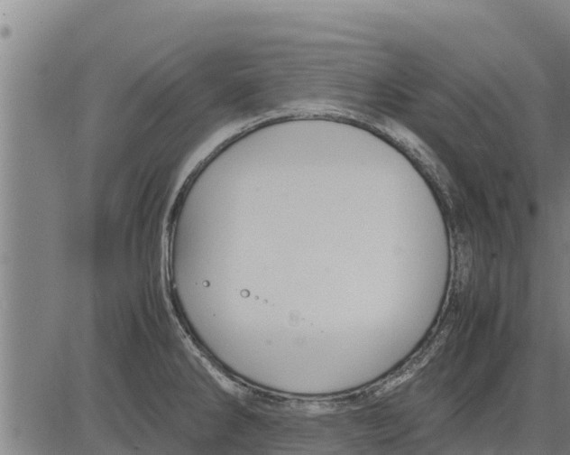 X0000083621286200703121619