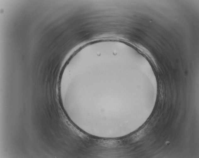 X0000083621288200703121619