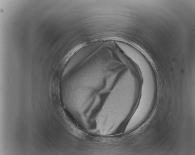 X0000083621289200703121619