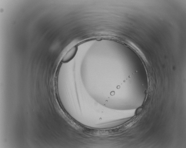 X0000083621291200703121619