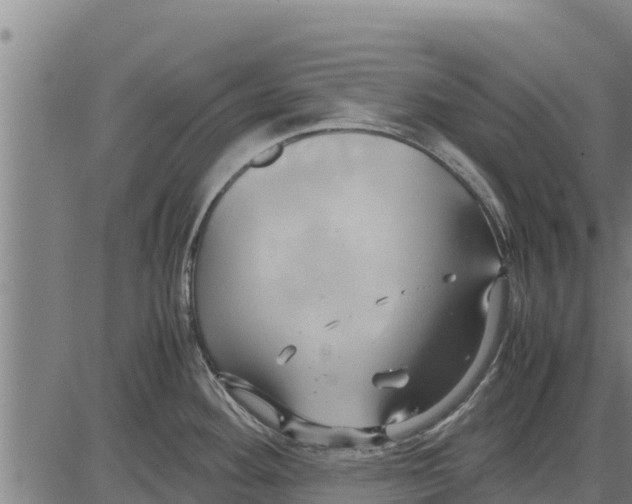 X0000083621292200703121619