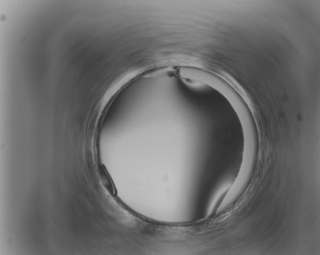 X0000083621293200703121619