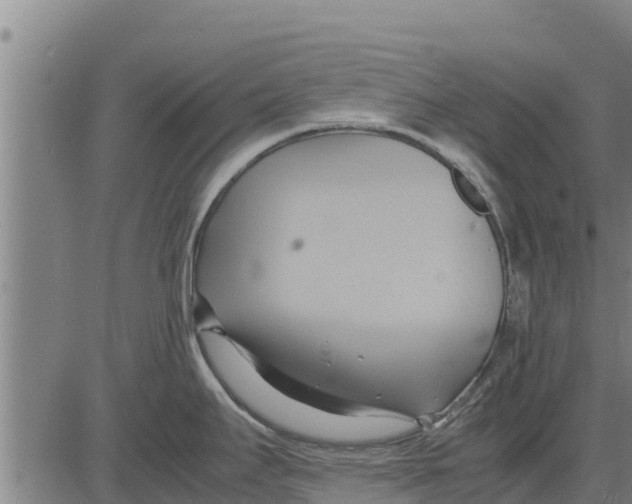 X0000083621295200703121618