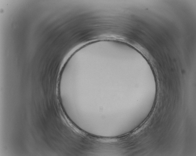 X0000083621296200703121618