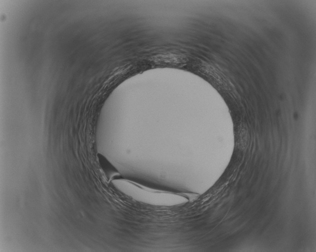 X0000083621297200703121618