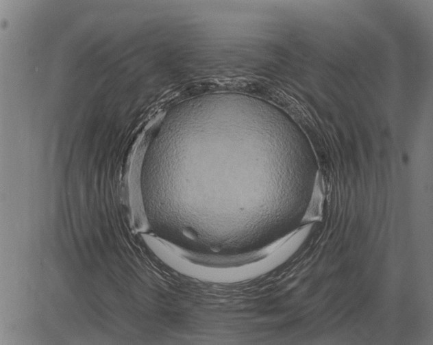 X0000083621298200703121618