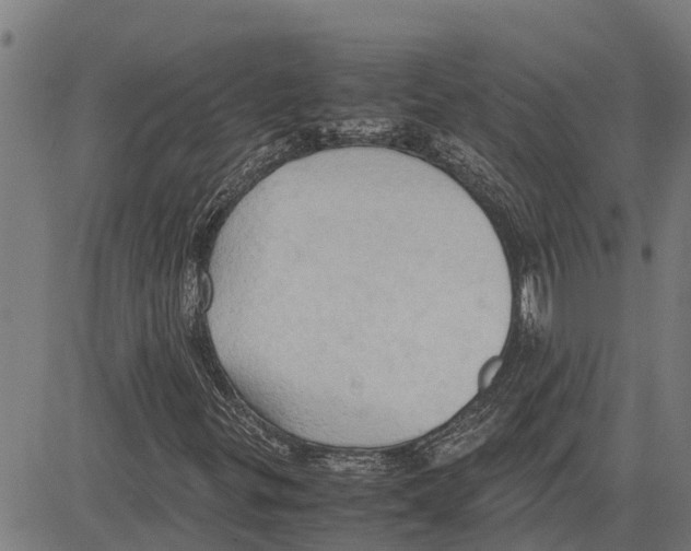 X0000083621299200703121618