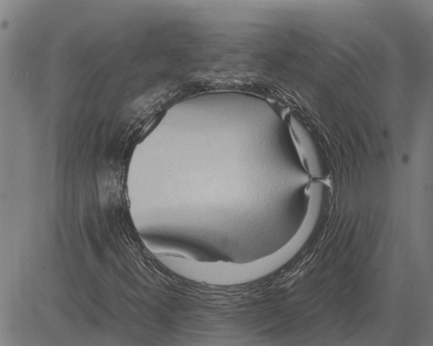 X0000083621300200703121618